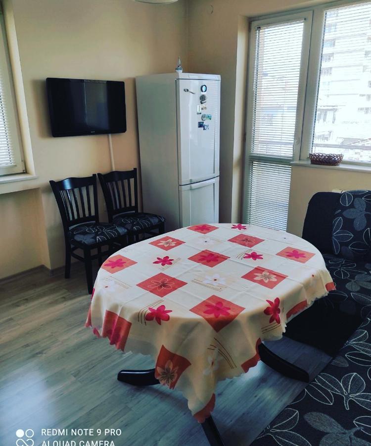 Pleven Sunny Apartment Екстериор снимка